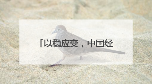 以稳应变，中国经济展现韧性与潜力
