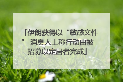 伊朗获得以“敏感文件” 消息人士称行动由被招募以定居者完成