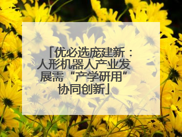 优必选庞建新：人形机器人产业发展需“产学研用”协同创新
