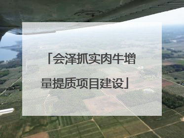 会泽抓实肉牛增量提质项目建设