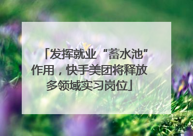 发挥就业“蓄水池”作用，快手美团将释放多领域实习岗位