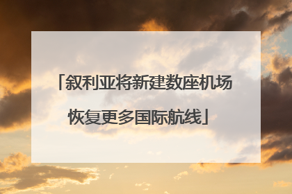 叙利亚将新建数座机场 恢复更多国际航线