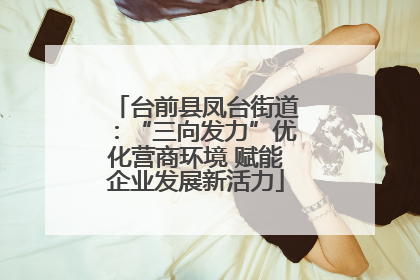 台前县凤台街道：“三向发力”优化营商环境 赋能企业发展新活力