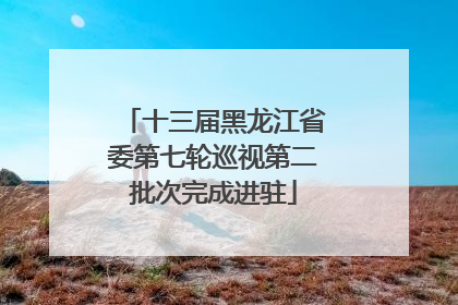 十三届黑龙江省委第七轮巡视第二批次完成进驻