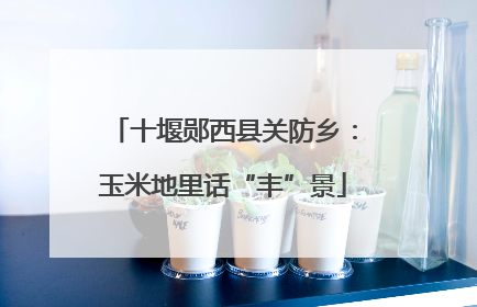 十堰郧西县关防乡：玉米地里话“丰”景