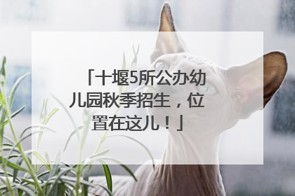 十堰5所公办幼儿园秋季招生，位置在这儿！