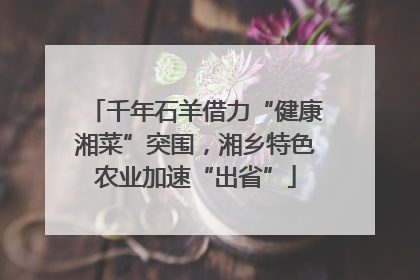 千年石羊借力“健康湘菜”突围，湘乡特色农业加速“出省”