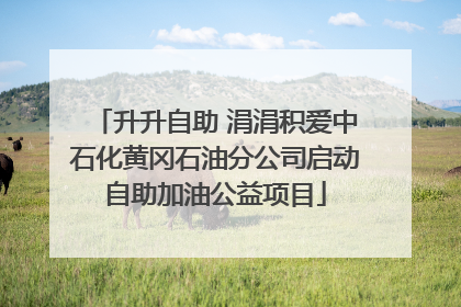 升升自助 涓涓积爱中石化黄冈石油分公司启动自助加油公益项目