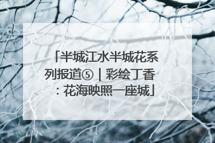 半城江水半城花系列报道⑤｜彩绘丁香：花海映照一座城