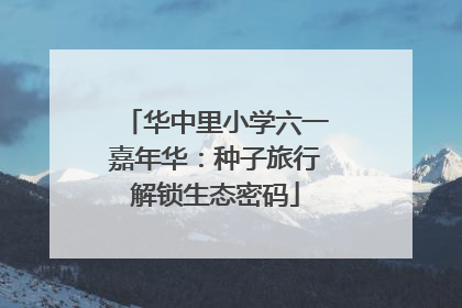 华中里小学六一嘉年华：种子旅行解锁生态密码