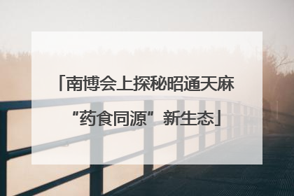 南博会上探秘昭通天麻“药食同源”新生态
