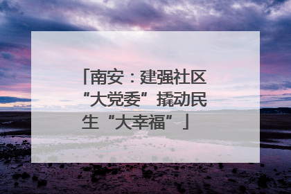 南安：建强社区“大党委”撬动民生“大幸福”