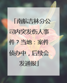 南航吉林分公司内突发伤人事件？当地：案件侦办中，后续会发通报