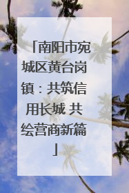 南阳市宛城区黄台岗镇：共筑信用长城 共绘营商新篇