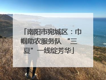 南阳市宛城区：巾帼助农服务队 “三夏”一线绽芳华