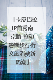 卡皮巴拉IP首秀南京路 拉动暑期步行街文旅消费新热潮