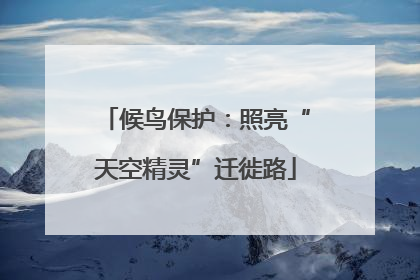 候鸟保护：照亮“天空精灵”迁徙路