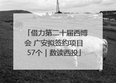 借力第二十届西博会 广安拟签约项目57个｜数读西投