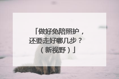 做好免陪照护，还要走好哪几步？（新视野）