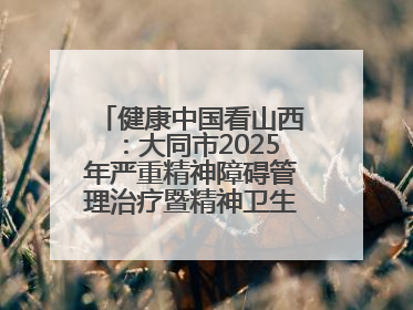 健康中国看山西：大同市2025年严重精神障碍管理治疗暨精神卫生质量控制中心工作培训班开班