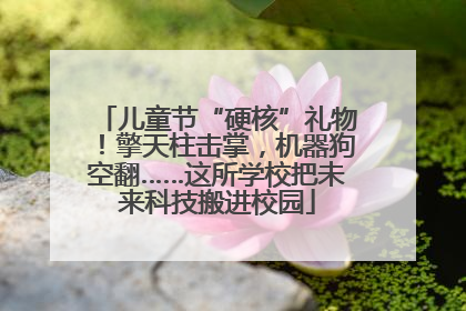 儿童节“硬核”礼物！擎天柱击掌，机器狗空翻……这所学校把未来科技搬进校园