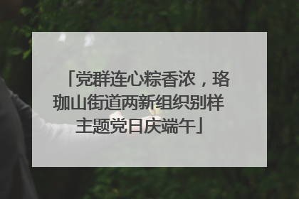 党群连心粽香浓，珞珈山街道两新组织别样主题党日庆端午