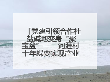 党建引领合作社 盐碱地变身“聚宝盆”——河涯村十年蝶变实现产业兴村群众富