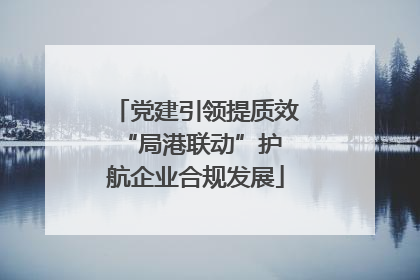 党建引领提质效 “局港联动”护航企业合规发展
