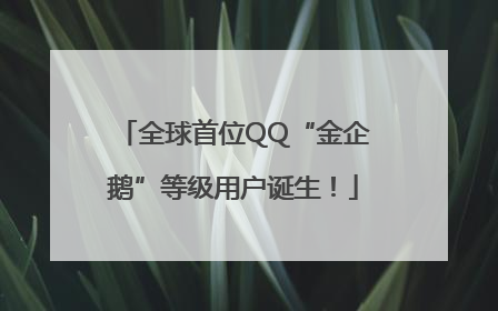 全球首位QQ“金企鹅”等级用户诞生！