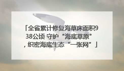 全省累计修复海草床面积938公顷 守护“海底草原”，织密海底生态“一张网”