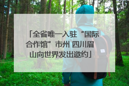 全省唯一入驻“国际合作馆”市州 四川眉山向世界发出邀约