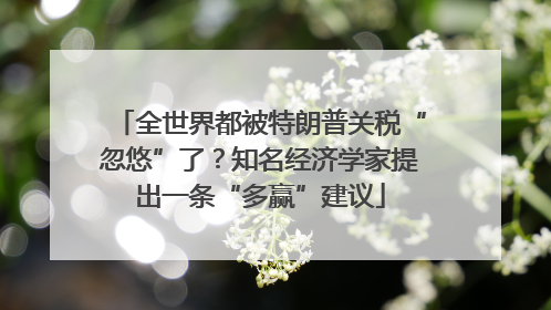 全世界都被特朗普关税“忽悠”了？知名经济学家提出一条“多赢”建议