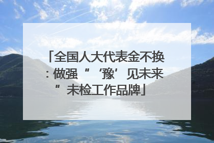 全国人大代表金不换：做强“‘豫’见未来”未检工作品牌