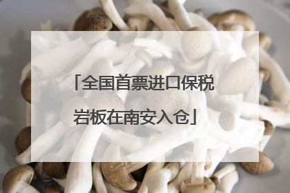 全国首票进口保税岩板在南安入仓