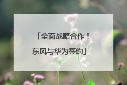 全面战略合作！东风与华为签约