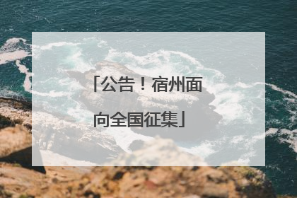 公告！宿州面向全国征集