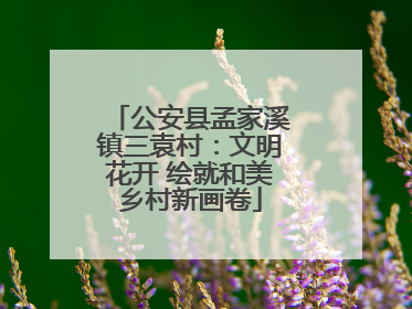 公安县孟家溪镇三袁村：文明花开 绘就和美乡村新画卷