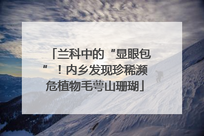 兰科中的“显眼包”！内乡发现珍稀濒危植物毛萼山珊瑚