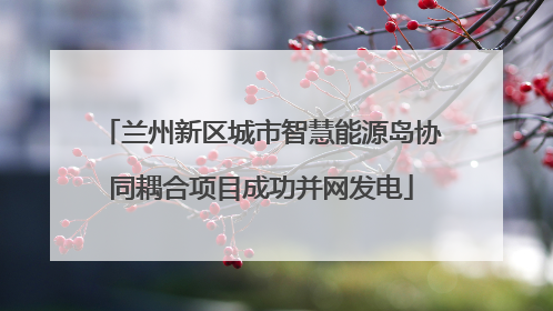 兰州新区城市智慧能源岛协同耦合项目成功并网发电