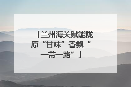 兰州海关赋能陇原“甘味”香飘“一带一路”