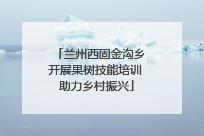 兰州西固金沟乡开展果树技能培训 助力乡村振兴