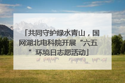 共同守护绿水青山，国网湖北电科院开展“六五”环境日志愿活动