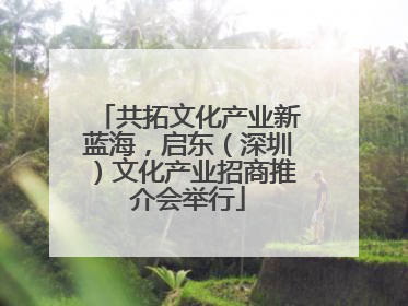 共拓文化产业新蓝海，启东（深圳）文化产业招商推介会举行