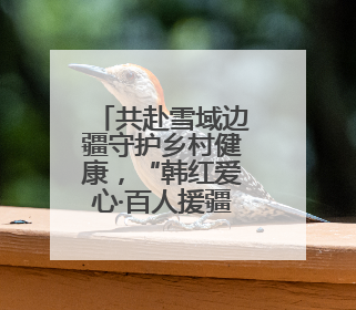 共赴雪域边疆守护乡村健康，“韩红爱心·百人援疆”线下线上进行时