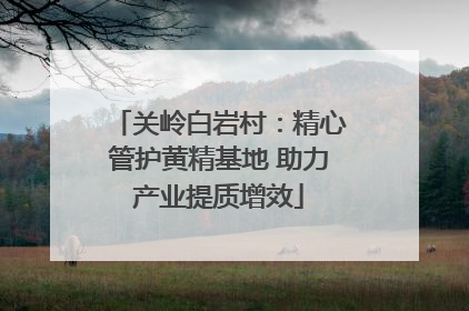 关岭白岩村：精心管护黄精基地 助力产业提质增效