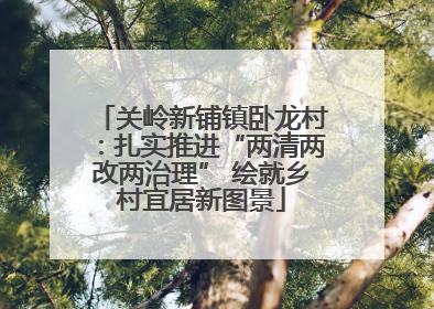 关岭新铺镇卧龙村：扎实推进“两清两改两治理” 绘就乡村宜居新图景