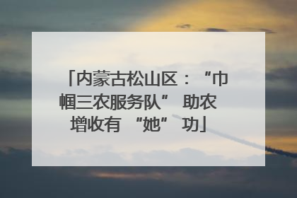 内蒙古松山区：“巾帼三农服务队” 助农增收有 “她” 功