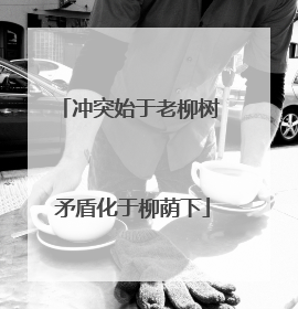 冲突始于老柳树 矛盾化于柳荫下