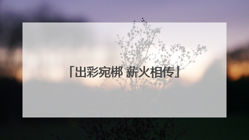 出彩宛梆 薪火相传