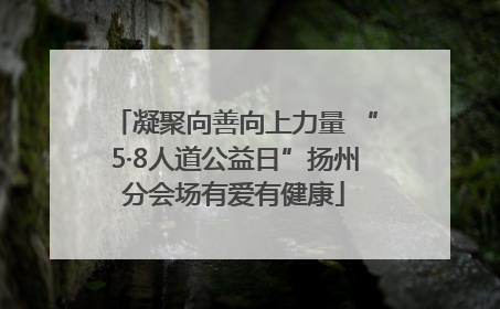 凝聚向善向上力量 “5·8人道公益日”扬州分会场有爱有健康